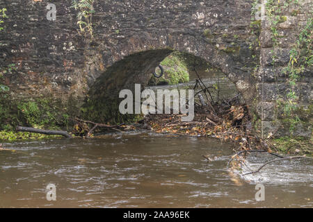 Gefallenen baum Schmutz blockiert Brücke arch in schnell fließenden Gewässern der River Fowey in Lostwithiel nach längerem Regen. Konzept winter Überschwemmungen. Stockfoto