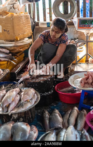 Die lebendige Fleisch, Fisch, Gemüse und Obst von Pakokku, Myanmar (Birma) mit einer jungen Frau Reinigung & Verkauf von frischem Fisch. Stockfoto