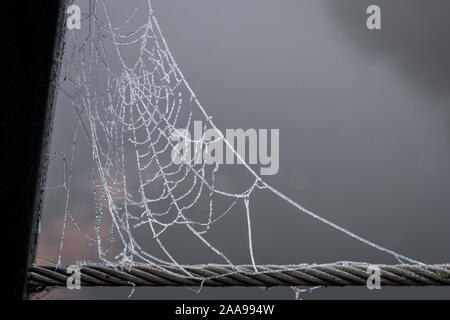 Winter gekommen ist, wird der Spider-Web-sites sind auf einer eisigen misty morning in den Niederlanden eingefroren Stockfoto