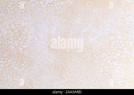 Abstract grunge Dekorative beige Stuck wie eine Schlangenhaut Wand Hintergrund Stockfoto