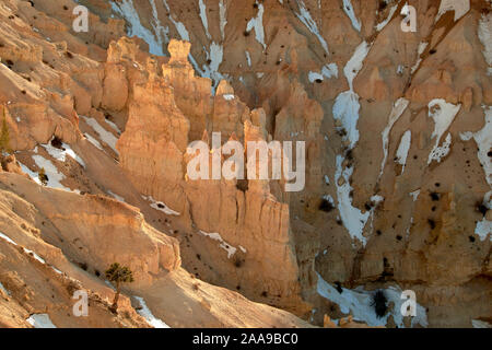 Blick über Bryce Canyon, Utah, USA Stockfoto