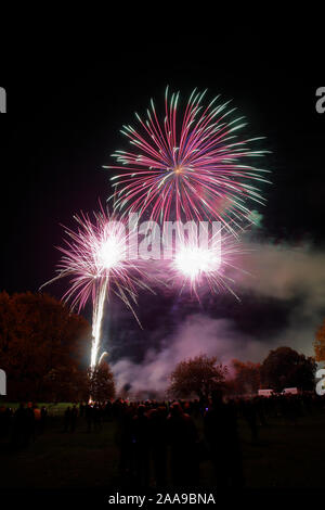 Feuerwerk an Harlow Town Park Essex, es gibt Leute, die sich für die Bild, aber Sie sind Silhouette und nicht identifizierbar Stockfoto