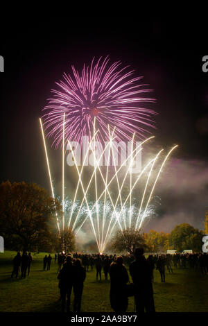 Feuerwerk an Harlow Town Park Essex, es gibt Leute, die sich für die Bild, aber Sie sind Silhouette und nicht identifizierbar Stockfoto