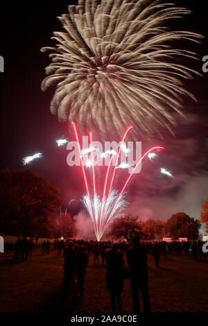 Feuerwerk an Harlow Town Park Essex, es gibt Leute, die sich für die Bild, aber Sie sind Silhouette und nicht identifizierbar Stockfoto