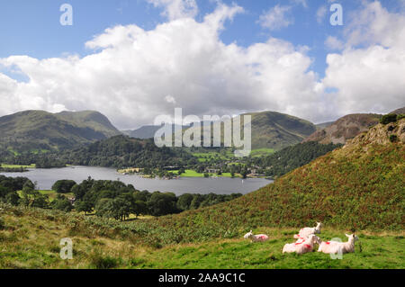 Glenridding gesehen von Patterdale gemeinsamen Stockfoto