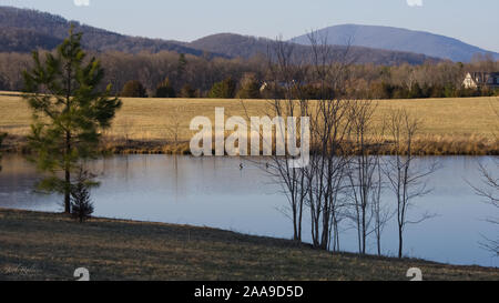 Teich in den Blue Ridge Mountains im frühen Frühling mit Enten auf dem Teich Stockfoto