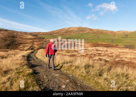 Zu Fuß in Richtung Kentmere Sallows in Cumbria Stockfoto