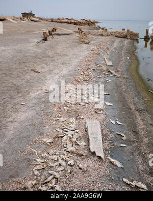 Verfall und Umweltverschmutzung auf Bombay Beach und Saline Meer, Kalifornien, USA Stockfoto