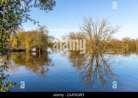 Der Fluss Severn überflutete am 18/11/2019 den Coombe Hill Canal and Meadows Nature Reserve, südlich von Tewkesbury, Gloucestershire, Großbritannien Stockfoto