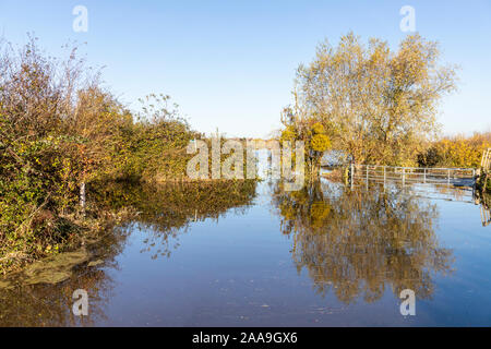 Der Fluss Severn überflutete am 18/11/2019 den Coombe Hill Canal and Meadows Nature Reserve, südlich von Tewkesbury, Gloucestershire, Großbritannien Stockfoto