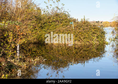 Der Fluss Severn überflutete am 18/11/2019 einen öffentlichen Brückenweg am Coombe Hill Canal and Meadows Nature Reserve, südlich von Tewkesbury, Gloucestershire UK Stockfoto