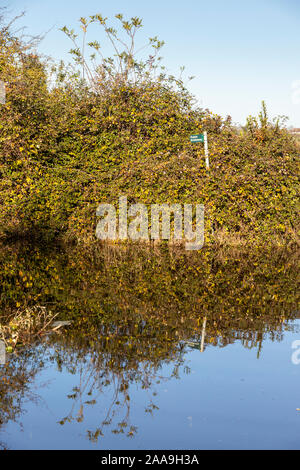 Der Fluss Severn überflutete am 18/11/2019 einen öffentlichen Brückenweg am Coombe Hill Canal and Meadows Nature Reserve, südlich von Tewkesbury, Gloucestershire UK Stockfoto