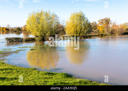 Hochwasser vom Fluss Severn füllen Sie die Felder im Bereich "Severn Vale Dorf Deerhurst, Gloucestershire UK am 18/11/2019 Stockfoto