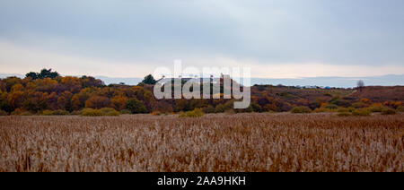 Ein Blick auf die Coast Guard Cottages Dunwich Suffolk Stockfoto