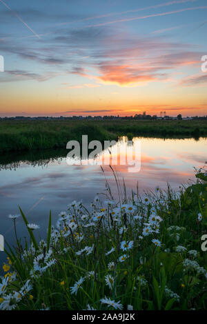 Reflexionen von bunten Wolken im Wasser eines Kanals in der holländischen Landschaft mit Wildblumen im Vordergrund. Stockfoto