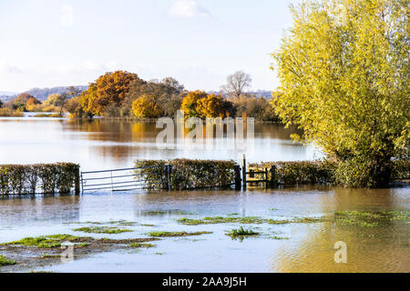 Hochwasser vom Fluss Severn füllen die Felder rund um den Severn Vale Dorf Deerhurst, Gloucestershire UK am 18/11/2019 Stockfoto