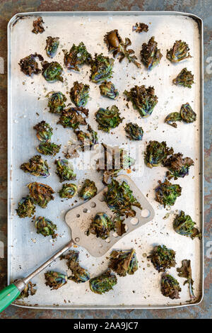 Brassica oleracea var. gemmifera. Gebratene Kalettes auf ein Fach Kale/Brussel sprout Kreuz Stockfoto