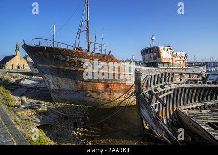 Wracks der alte hölzerne Trawler Fischerboote/hummer Boote im Hafen / Hafen von Camaret-sur-Mer, Finistère, Bretagne, Frankreich Stockfoto