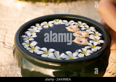 Frau macht Einrichtung Anordnung in grün Schüssel auf dem Wasser von Frangipani plumeria Blumen. Isolierte Sicht auf Hände und floristischen Zusammensetzung. Aroma Spa Stockfoto