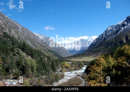 Die Daxueshan Riwoche Tal in den Bergen des westlichen Sichuan in China. Stockfoto