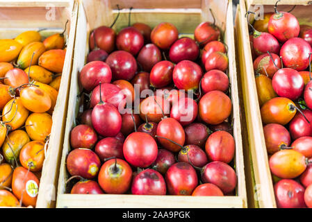 Tamarillo baum Tomate exotische Früchte an einem Street Food Market fair Festival. Stockfoto