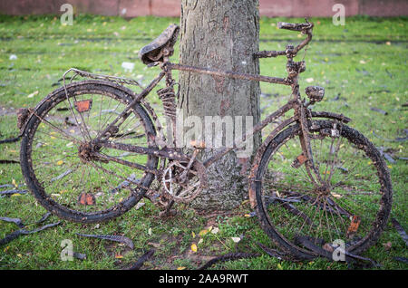 19 November 2019, Hessen, Frankfurt/Main: Ein völlig verrosteten Fahrrad, die aus dem Main geborgen wurde lehnt sich gegen einen Baum. Foto: Andreas Arnold/dpa Stockfoto