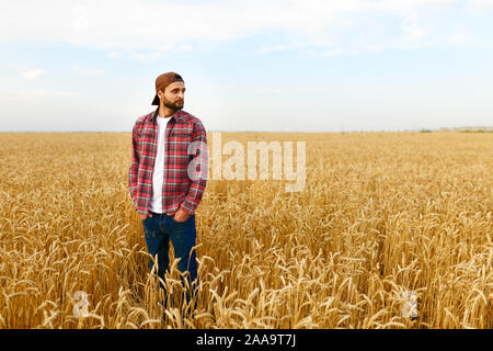 Portrait eines bärtigen Landwirt in einem Weizenfeld. Stylisches hipster Mann mit Trucker hat und kariertem Hemd auf. Landwirtschaftliche Arbeitnehmer Stockfoto