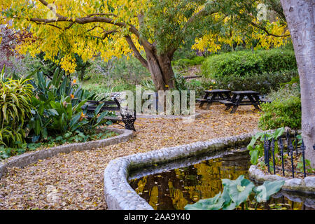 Die Botanischen Gärten von Gibraltar oder La Alameda Gardens sind ein rund 6 Hektar großer botanischer Garten in Gibraltar. Stockfoto