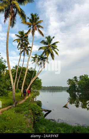 Morgen Szenen in Kerala Backwaters Stockfoto