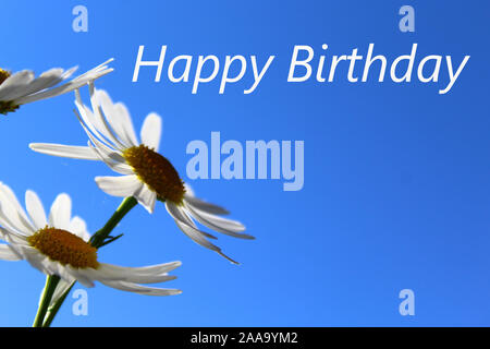 Das Bild zeigt die Happy birthday Grüße mit Blumen Stockfoto