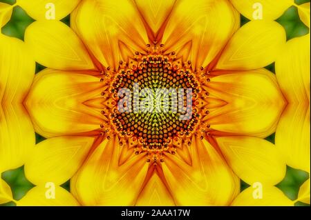 Sonnenblumen sind eng mit Glück und Langlebigkeit machen sie zu einem idealen Geschenk sowie perfekte meditative Beihilfe verbunden. Amber sagt Ausstrahlung. Stockfoto