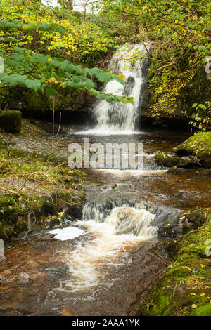 Gastack Beck fällt in der Nähe der Ortschaft Dent in den Yorkshire Dales National Park, England. Stockfoto