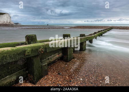 Holz- Strand groyne, in grün Algen bedeckt bis ins Meer, einsame Abbildung im Abstand, Cuckmere Haven, Seaford, East Sussex, England, Großbritannien Stockfoto