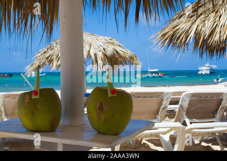 Kokos Getränke am Tisch unter Palmenblättern Regenschirm am tropischen Strand mit türkisblauen Wasser des Meeres im Hintergrund, Punta Cana, Dominikanische Republik. Summe Stockfoto