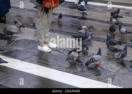 Menschen sind die Fütterung der Tauben auf dem Bürgersteig auf dem Platz in Mailand, Italien. Stockfoto