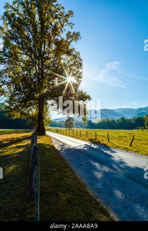 Straße obwohl Cades Cove in der Great Smoky Mountains National Park in Tennessee in den Vereinigten Staaten Stockfoto