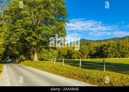 Straße obwohl Cades Cove in der Great Smoky Mountains National Park in Tennessee in den Vereinigten Staaten Stockfoto