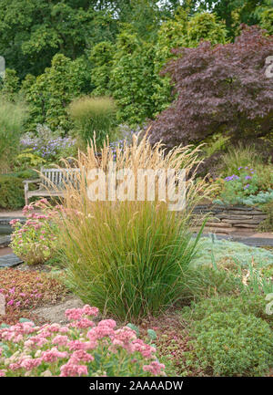 Silberährengras (Stipa calamagrostis), 'Förster-Garten' Stockfoto