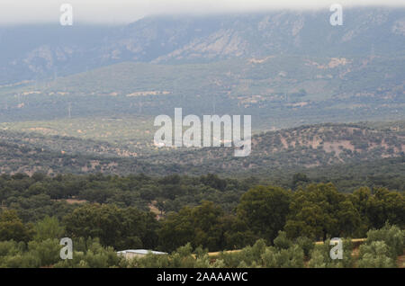 Öffnen eiche Woodland (Dehesas) in Azuel, Sierra Morena (Andalusien, Südspanien) Stockfoto