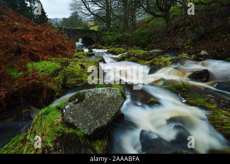 Hebden Beck, Lower Wharfedale, Yorkshire Dales Stockfoto