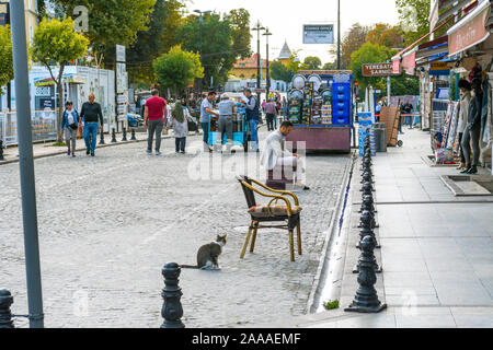 Eine streunende Katze sitzt in einer belebten Straße mit Geschäften im Stadtteil Sultanahmet in Istanbul Türkei. Stockfoto