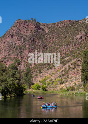 Felsen, Fluss und Flöße, Green River, kleines Loch Trail, National Forest, Flaming Gorge National Recreation Area in der Nähe von Dutch John, Utah. Stockfoto