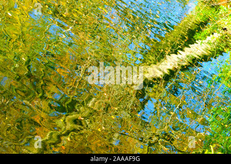 Herbst Reflexionen auf dem Wasser Stockfoto