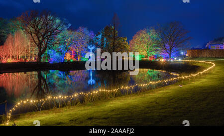 Nachrichten: RHS Gärten Harlow Carr Glow 2019 Veranstaltung, Harrogate, Großbritannien. 20. November 2019. Vorschau Nacht der beleuchteten Strecke rund um den Schlüssel des Garten Highlights, Harrogate, North Yorkshire, UK. Veranstaltung öffnet sich zu öffentlichen 21 November 2019. Credit: Gefangen Light Fotografie/Alamy Leben Nachrichten. Stockfoto