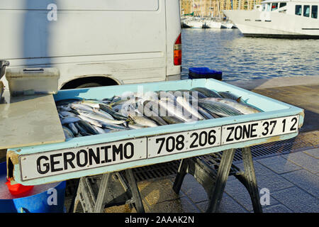 MARSEILLE, Frankreich-13 Nov 2019 - Ansicht von frischem Fisch für die Bouillabaisse Suppe für den Verkauf auf dem Fischmarkt am alten Hafen (Vieux Port) in Marseille. Stockfoto