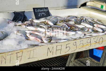 MARSEILLE, Frankreich-13 Nov 2019 - Ansicht von frischem Fisch für die Bouillabaisse Suppe für den Verkauf auf dem Fischmarkt am alten Hafen (Vieux Port) in Marseille. Stockfoto