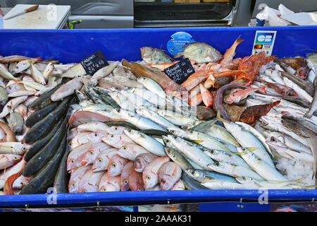 MARSEILLE, Frankreich-13 Nov 2019 - Ansicht von frischem Fisch für die Bouillabaisse Suppe für den Verkauf auf dem Fischmarkt am alten Hafen (Vieux Port) in Marseille. Stockfoto