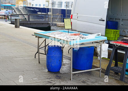 MARSEILLE, Frankreich-13 Nov 2019 - Ansicht von frischem Fisch für die Bouillabaisse Suppe für den Verkauf auf dem Fischmarkt am alten Hafen (Vieux Port) in Marseille. Stockfoto