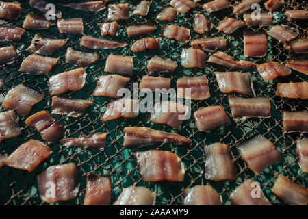 Fisch auf dem Fischernetz getrocknet auf der Straße in Asien Stockfoto