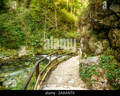 Blick auf Spaziergang weg an der Schlucht Vintgar Wasserfall in Slowenien auf einen Herbst Tag. Stockfoto